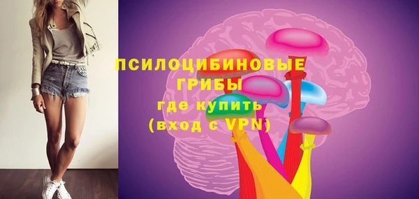 мяу мяу мука Баксан