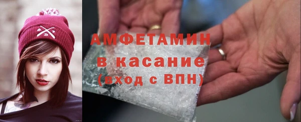 шишки Аркадак